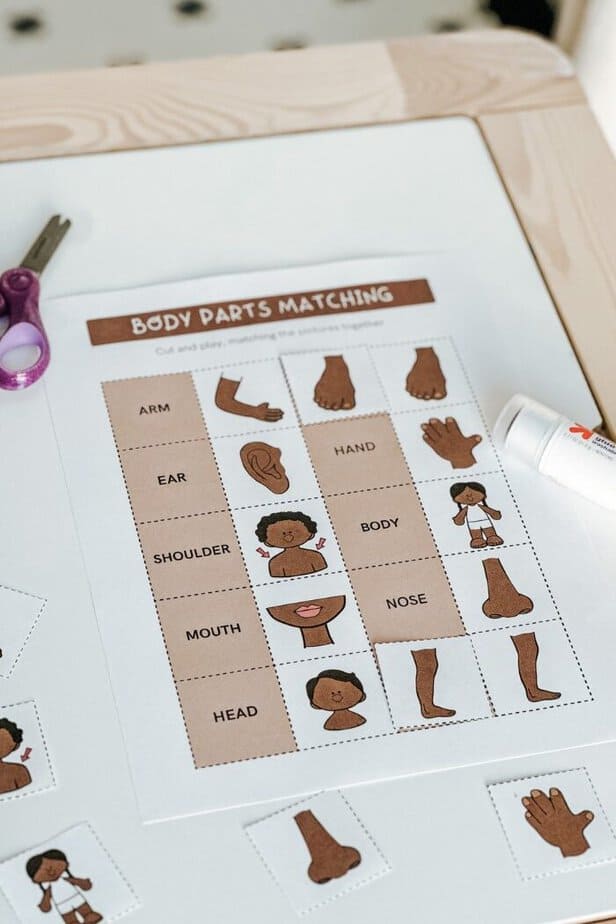 Fun Body Parts Matching Activity