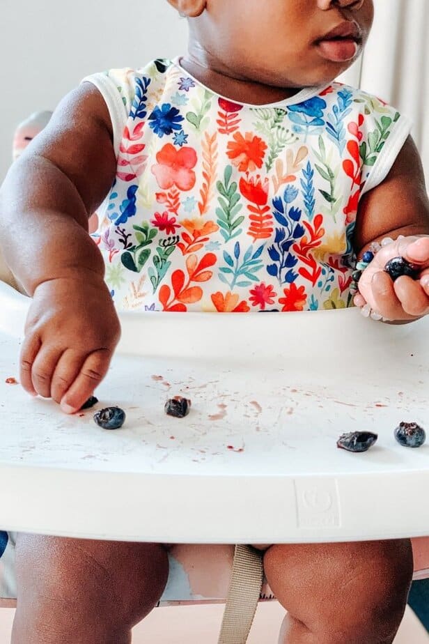 Baby Led Weaning 101: Everything Parents Should Know Before Starting