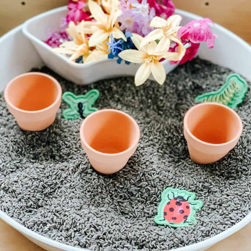 Garden Sensory Bin Garden Sensory Bin