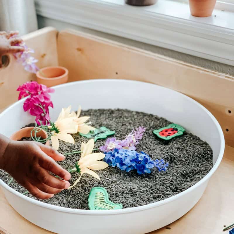 Garden Sensory Bin Garden Sensory Bin