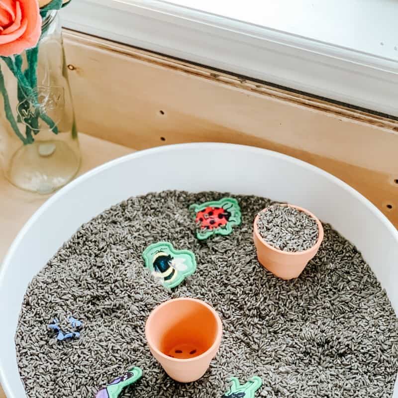 Garden Sensory Bin Garden Sensory Bin