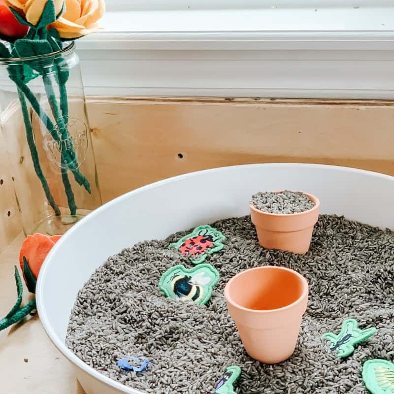 Garden Sensory Bin Garden Sensory Bin