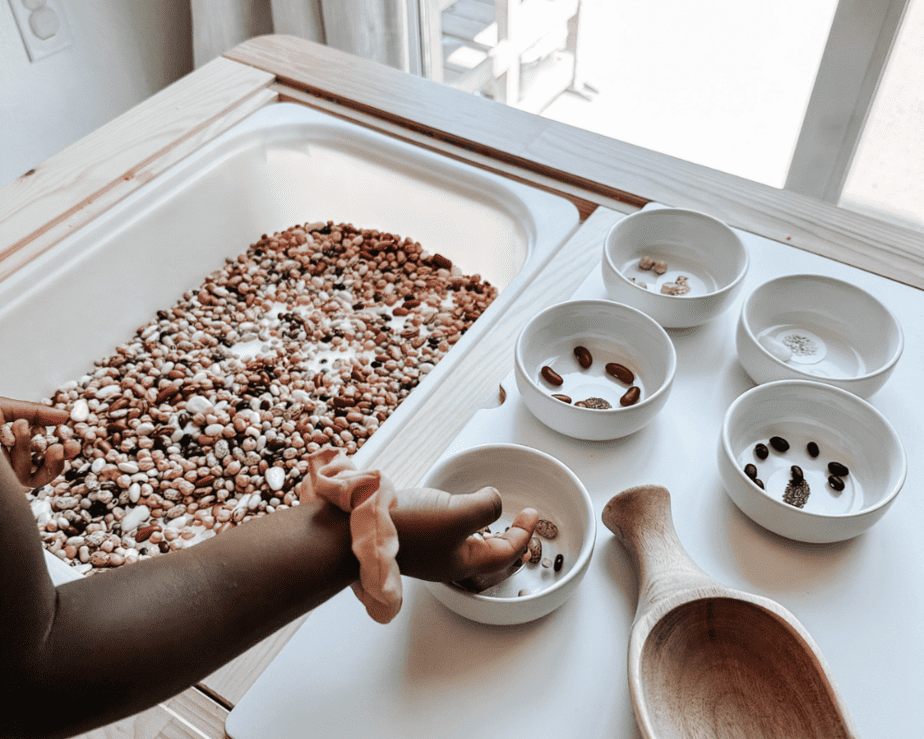 Bean Sorting Activity For Toddlers
