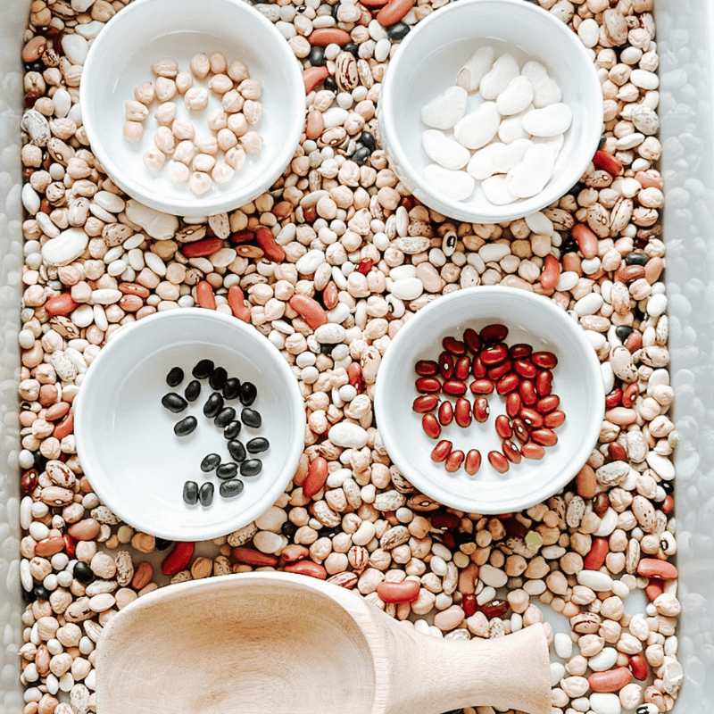 Bean Sorting Activity For Toddlers