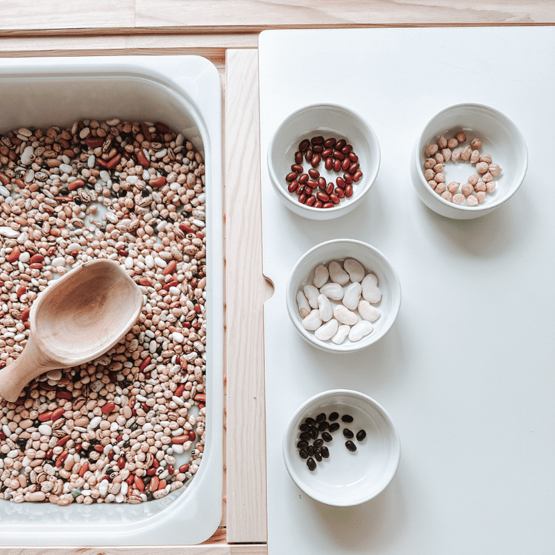 Bean Sorting Activity For Toddlers