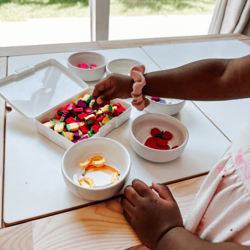 Sorting Activities for Toddlers
