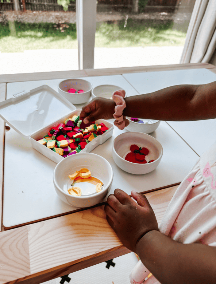 Sorting Activities for Toddlers