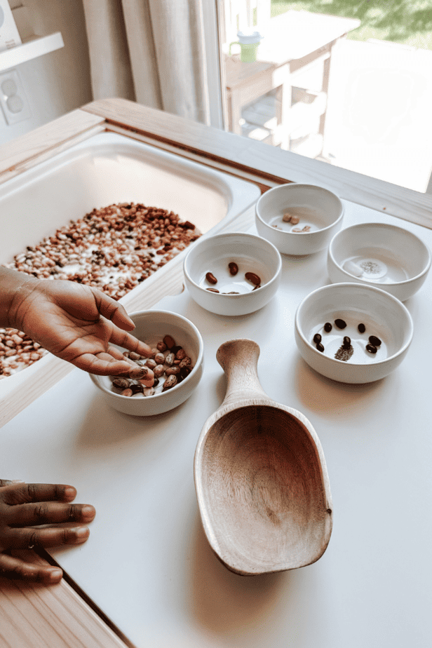 Simple Bean Sorting Activity For Toddlers
