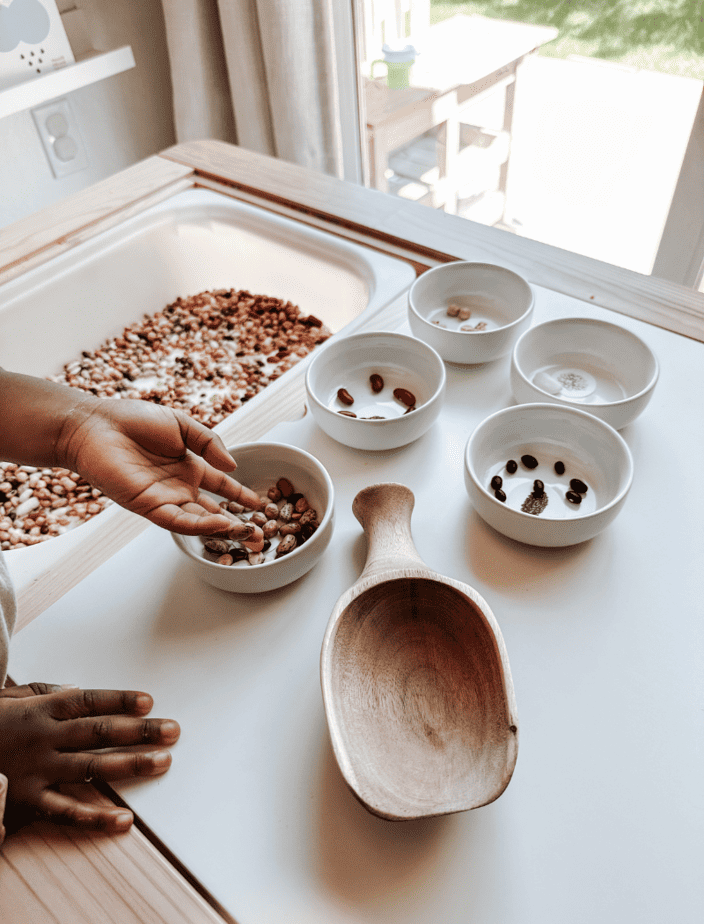 Simple Bean Sorting Activity For Toddlers Jasmine Ansah