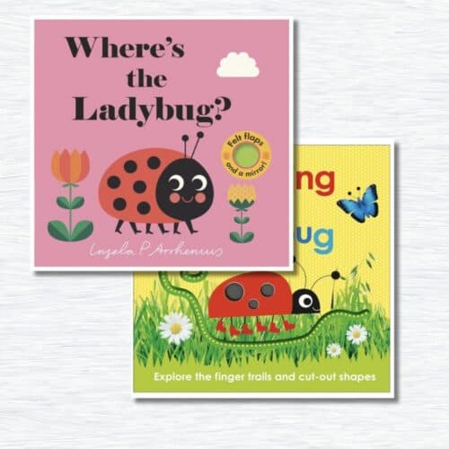 Books about ladybugs for preschoolers