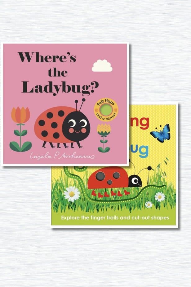 11 Books About LadyBugs For Preschoolers