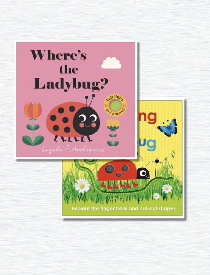 Books about ladybugs for preschoolers