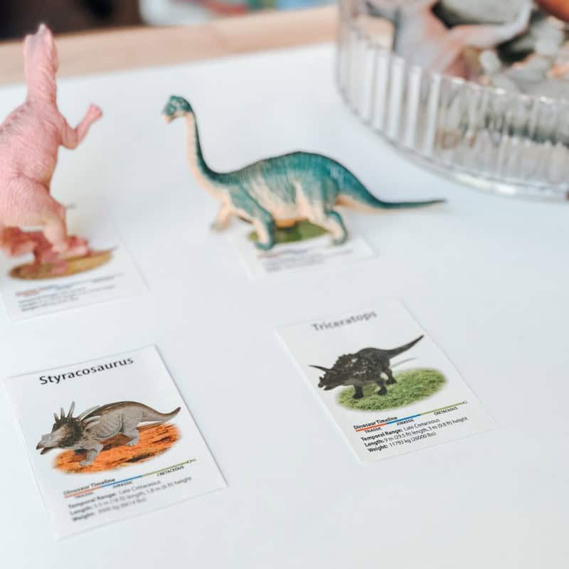 Simple Dinosaur Matching Activity For Preschool