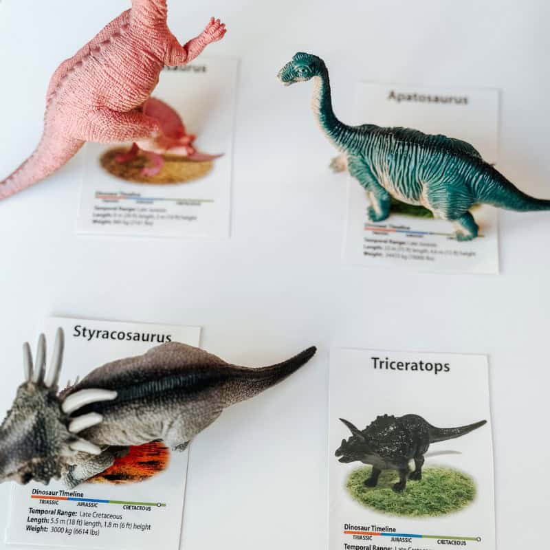 Simple Dinosaur Matching Activity For Preschool-2