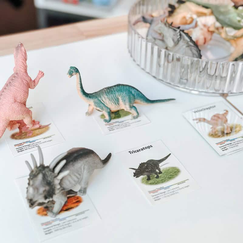 Simple Dinosaur Matching Activity For Preschool