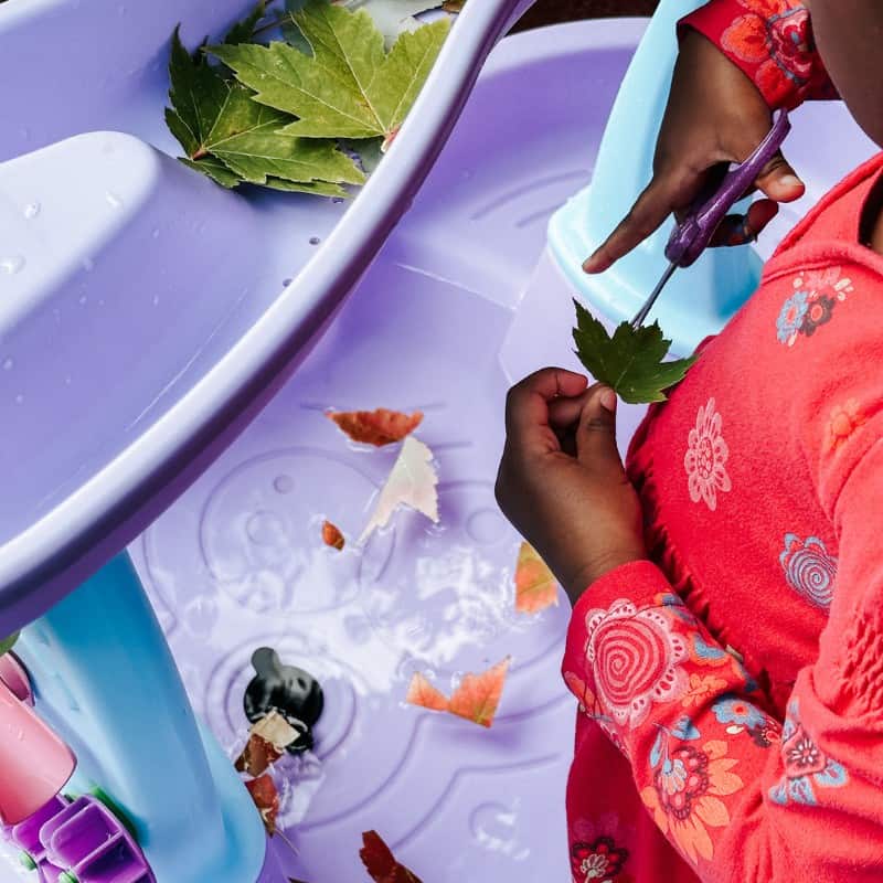 leaf cutting water table 