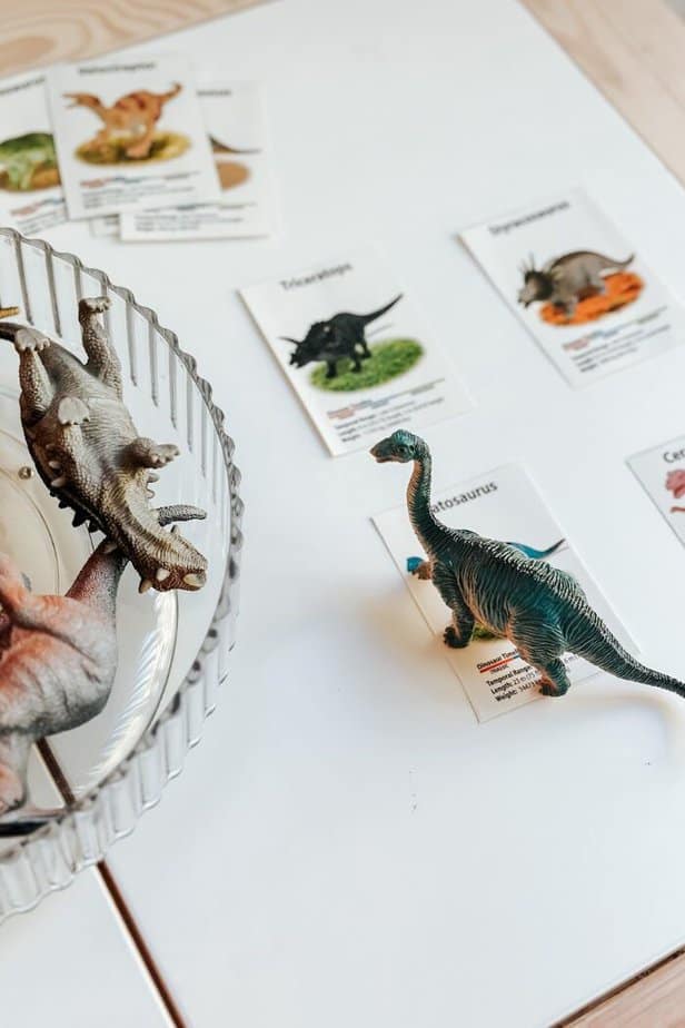 Simple Dinosaur Matching Activity For Preschool