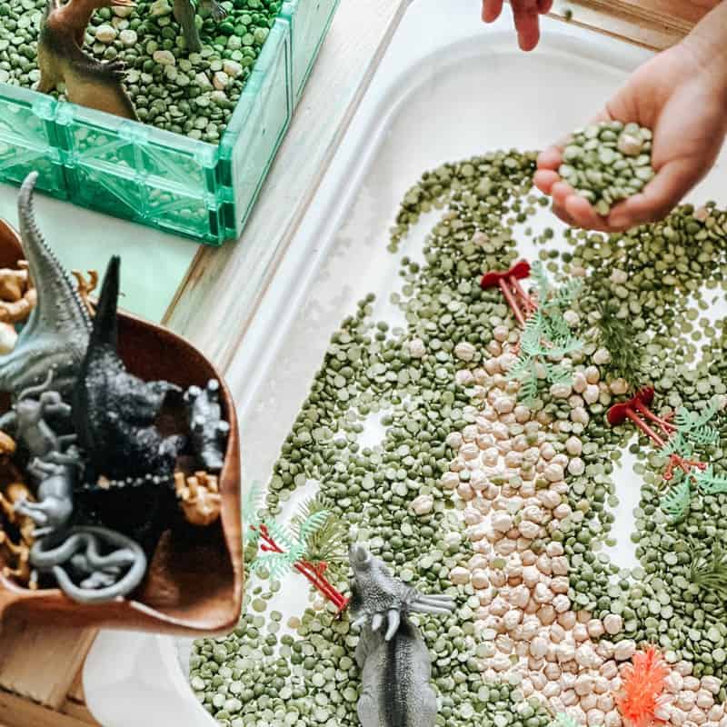 Dinosaur Sensory Bin 