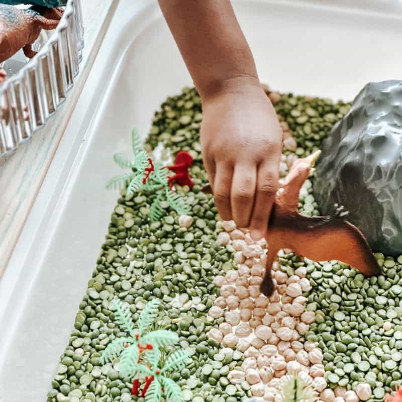 Dinosaur Sensory Bin 