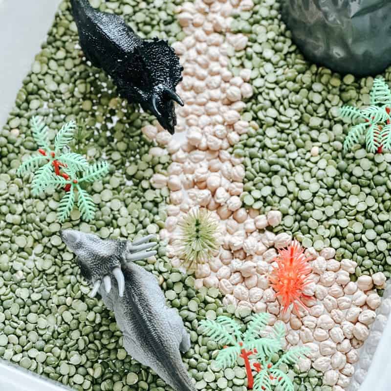 Dinosaur Sensory Bin 