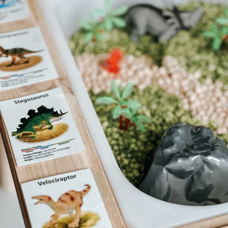 Dinosaur Sensory Bin 