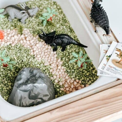 Dinosaur Sensory Bin