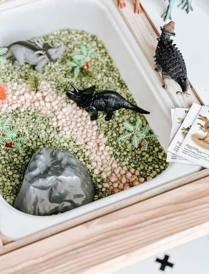 Dinosaur Sensory Bin