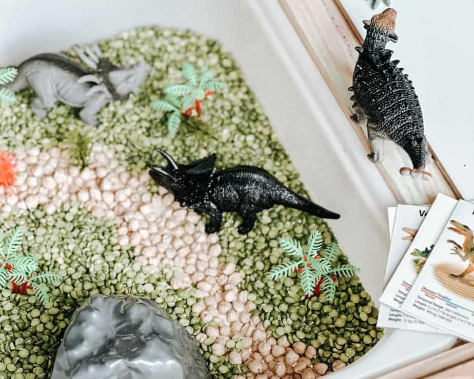 Dinosaur Sensory Bin For Preschool