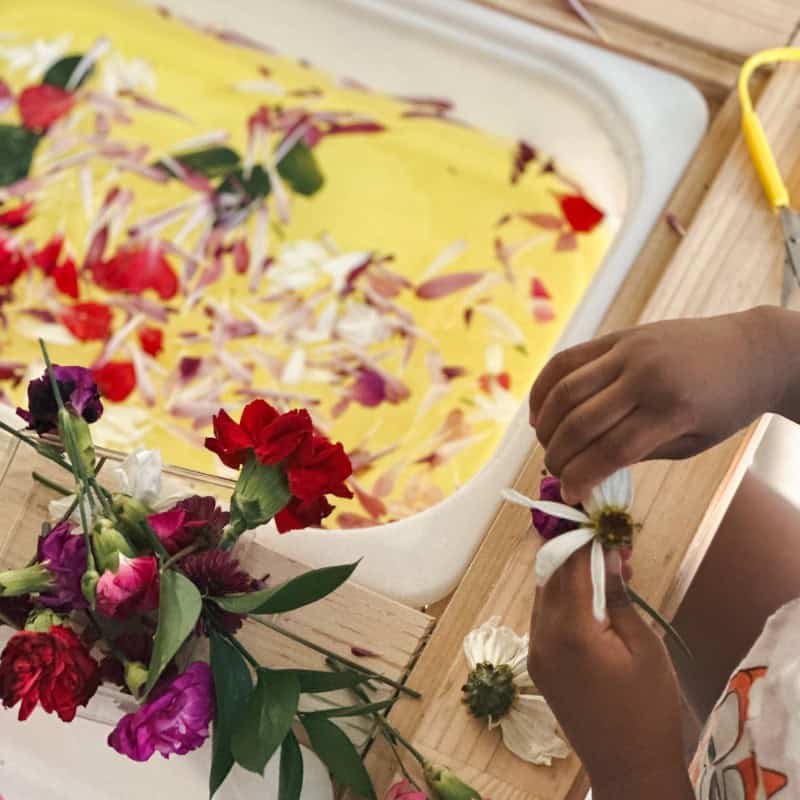 Flower Soup Sensory Bin 