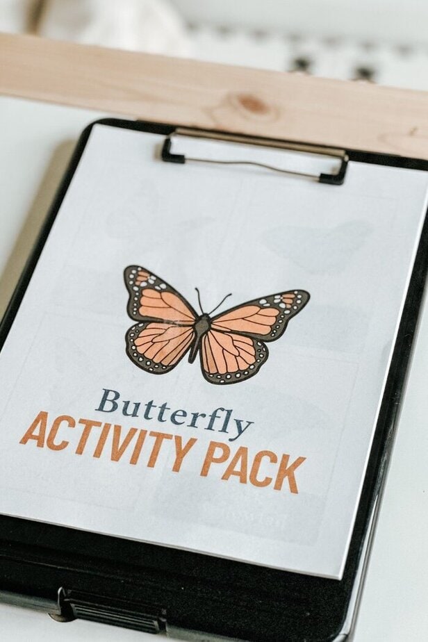 Fun Butterfly Activities For Preschoolers