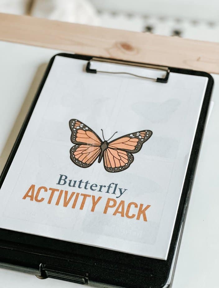 Butterfly Activities For Preschoolers -2