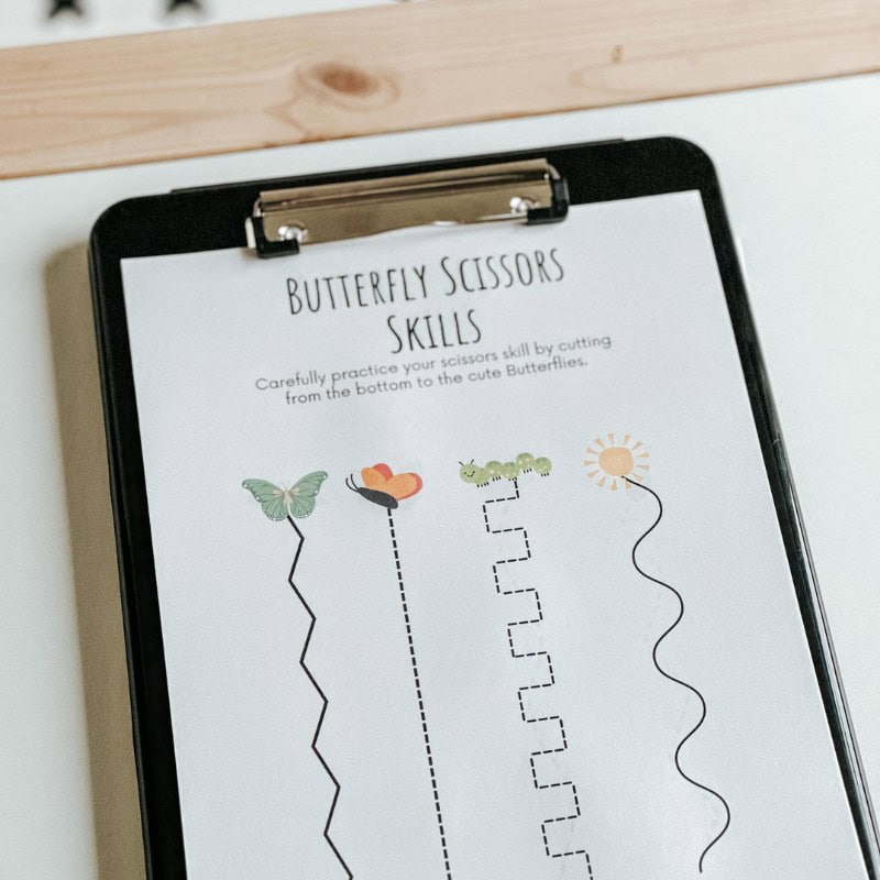 Butterfly Activities For Preschoolers (3)