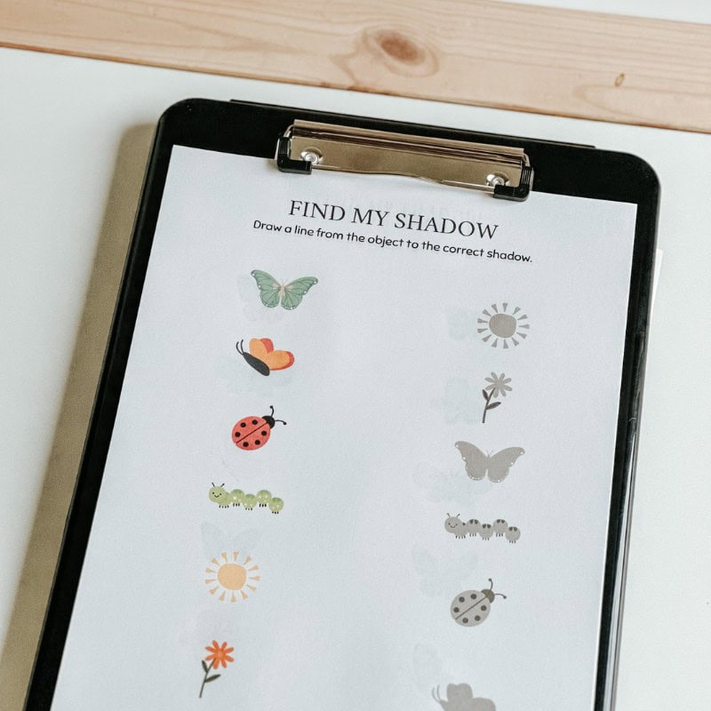 Butterfly Activities For Preschoolers (4)