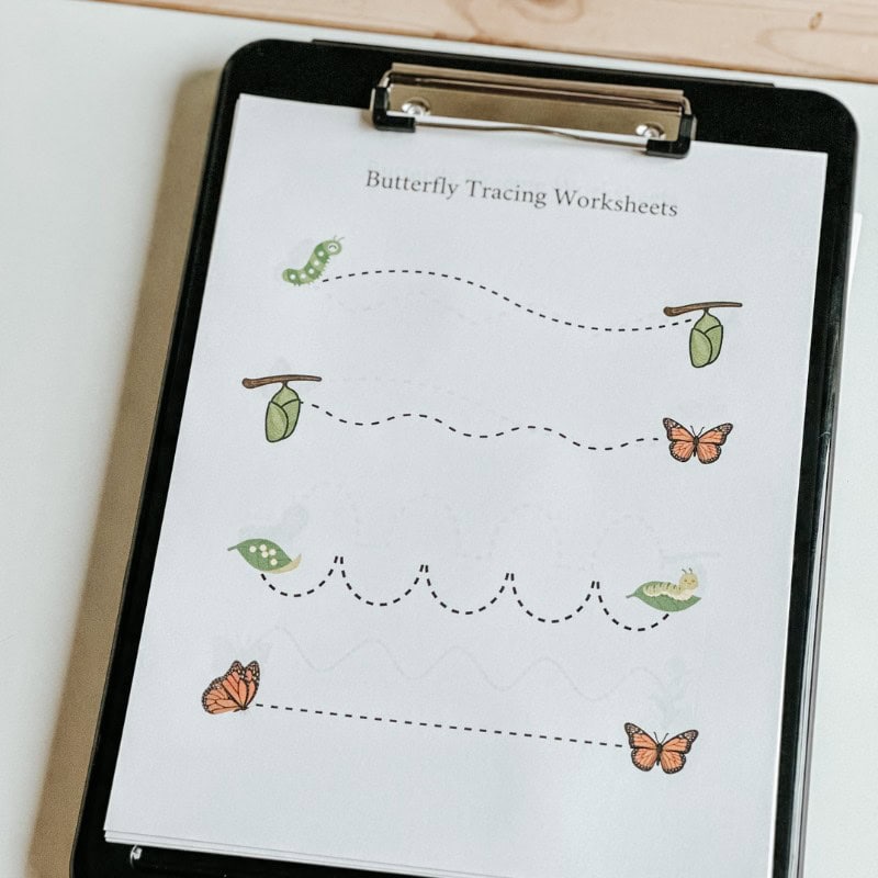 Butterfly Activities For Preschoolers (5)
