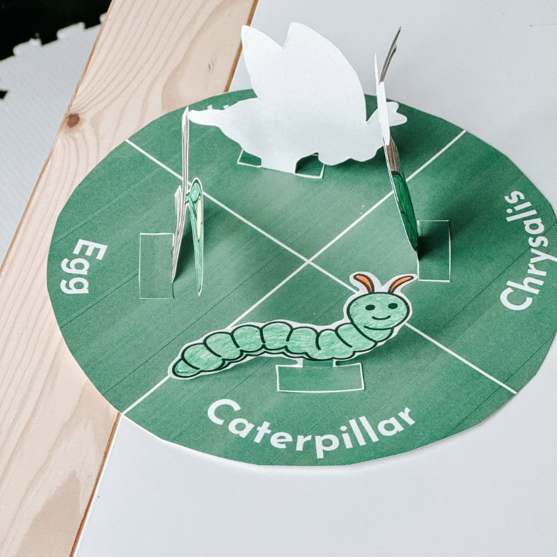 butterfly lifecycle craft butterfly lifecycle craft