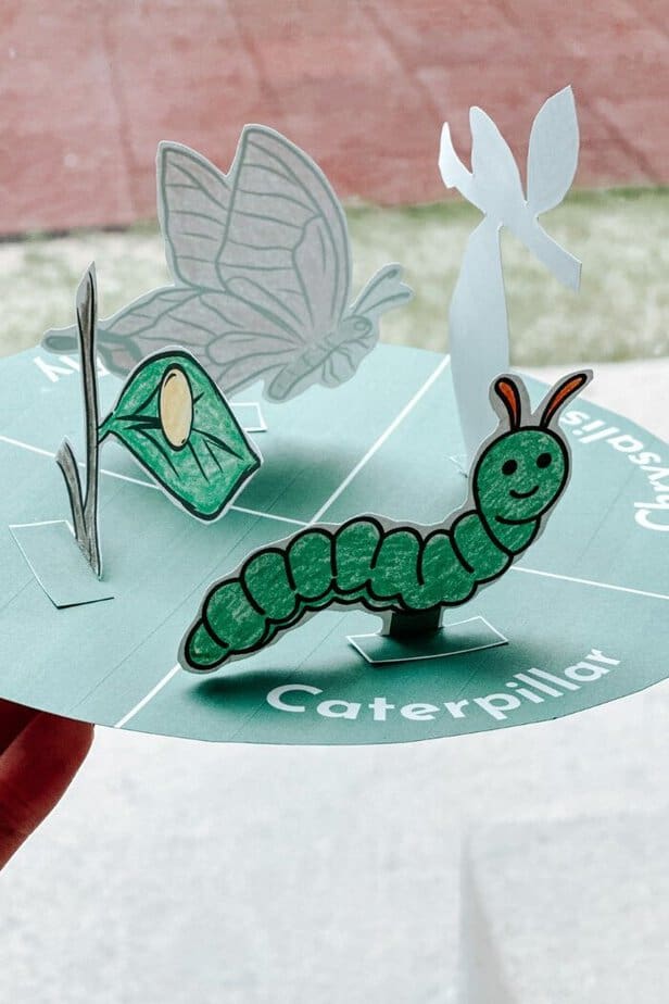Butterfly Lifecycle Craft | FREE TEMPLATE