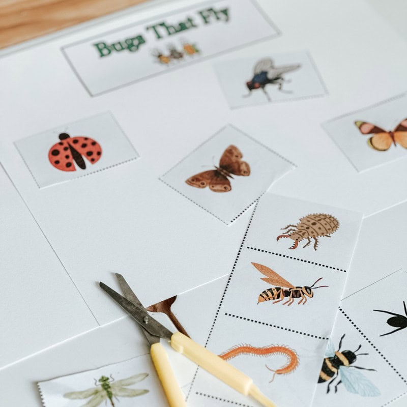 Fine Motor Cutting Activity Fine Motor Cutting Activity