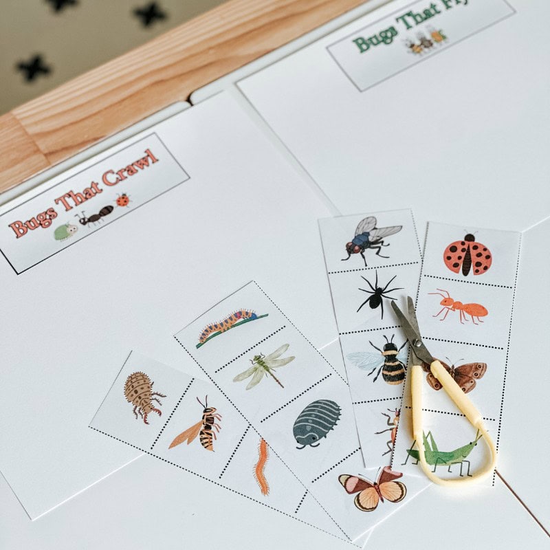 Fine Motor Cutting Activity