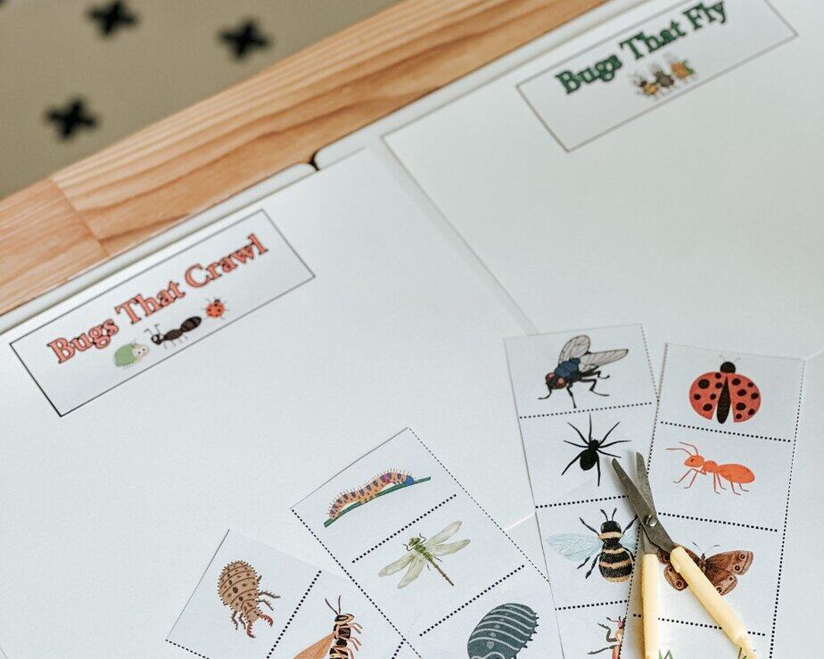 fine motor cutting activity fine motor cutting activity