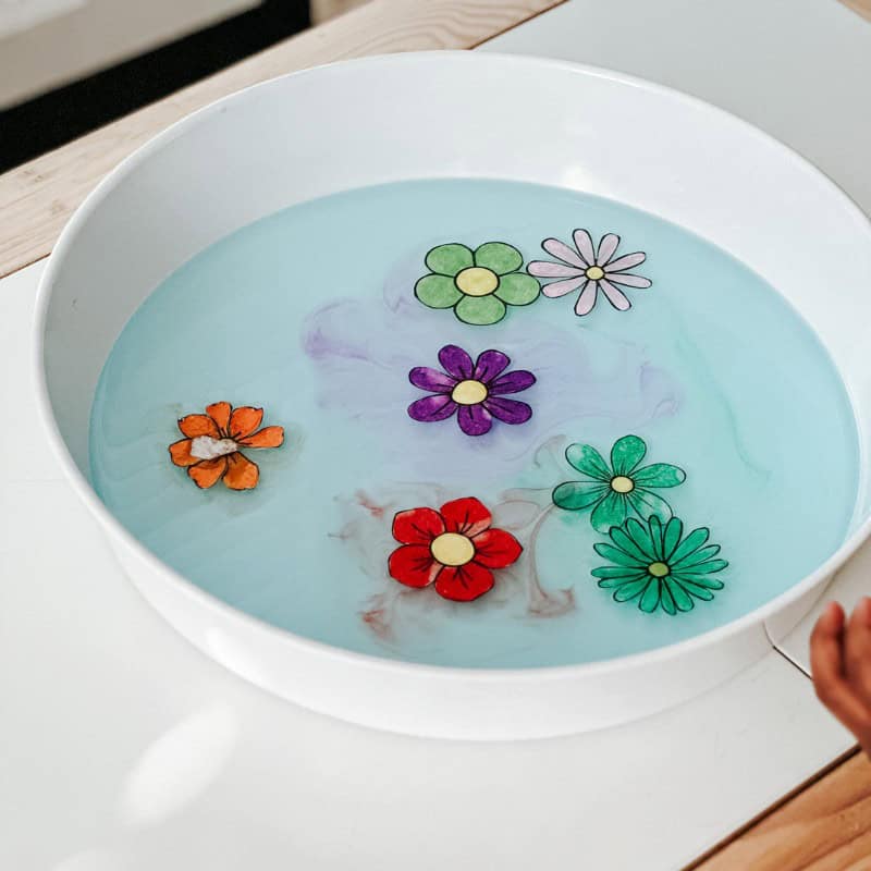 flower activity for toddlers flower activity for toddlers